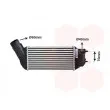 VAN WEZEL 40004360 - Intercooler, échangeur