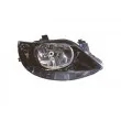 VAN WEZEL 4919962V - Projecteur principal