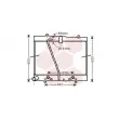 Radiateur, refroidissement du moteur VAN WEZEL [53002433]