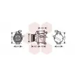 VAN WEZEL 5300K446 - Compresseur, climatisation