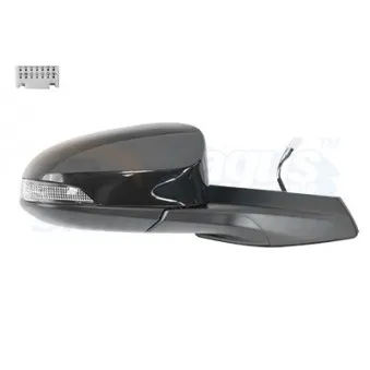 Rétroviseur extérieur VAN WEZEL OEM 879150F911