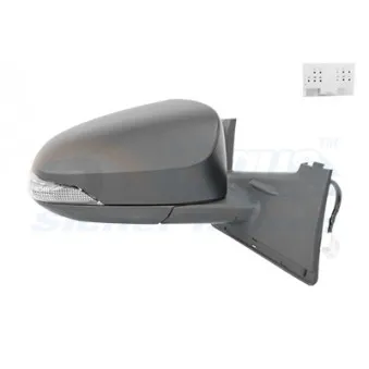 Rétroviseur extérieur VAN WEZEL 5428818