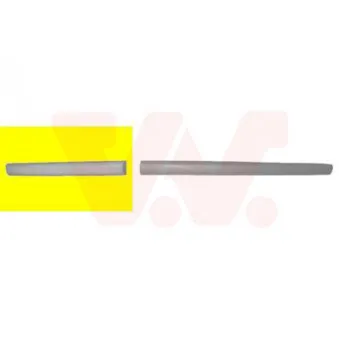 VAN WEZEL 5827426 - Baguette et bande protectrice, porte arrière droit