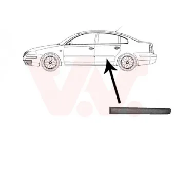 Baguette et bande protectrice, porte arrière gauche VAN WEZEL [5836425]