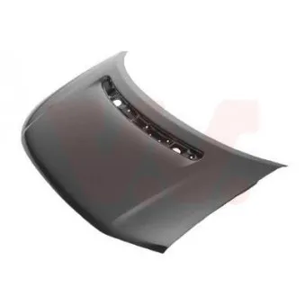 VAN WEZEL 5875660 - Capot-moteur
