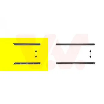 VAN WEZEL 5880426 - Baguette et bande protectrice, porte arrière droit