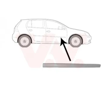 Baguette et bande protectrice, porte avant droit VAN WEZEL [5894424]