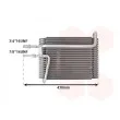 VAN WEZEL 5900V026 - Évaporateur climatisation