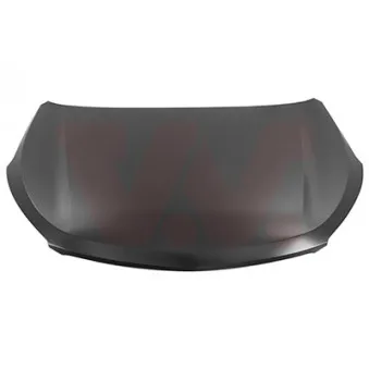 Capot-moteur VAN WEZEL 8272660 pour HYUNDAI SANTA FÉ 2.0 CRDi 4WD - 150cv Capot-moteur VAN WEZEL 8272660 pour HYUNDAI SANTA FÉ 2.0 CRDi 4WD - 150cv