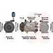 VAN WEZEL 8300K193 - Compresseur, climatisation