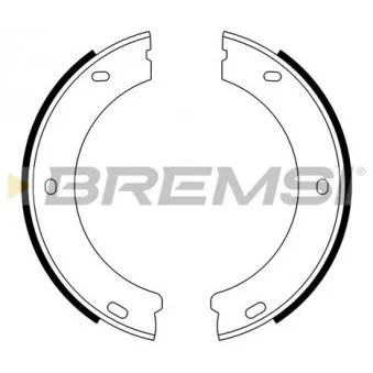 BREMSI GF0384 - Jeu de mâchoires de frein
