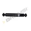 BREMSI SA0658 - Jeu de 2 amortisseurs arrière