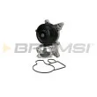 Pompe à eau BREMSI [WP0251]