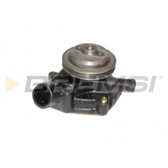 Pompe à eau BREMSI [WP0494]