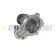 Pompe à eau BREMSI [WP0519]