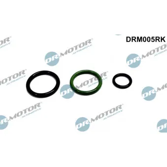 Kit de réparation, unité pompe-injecteur Dr.Motor DRM005RK