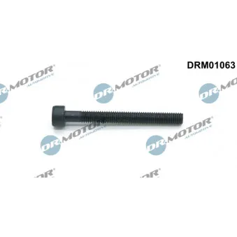 Dr.Motor DRM01063 - Vis, support pour controleur d'injecteurs
