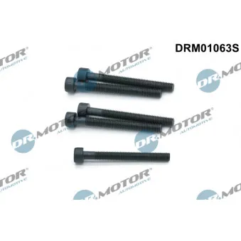 Dr.Motor DRM01063S - Vis, support pour controleur d'injecteurs