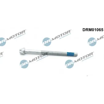 Vis, support pour controleur d'injecteurs Dr.Motor DRM01065