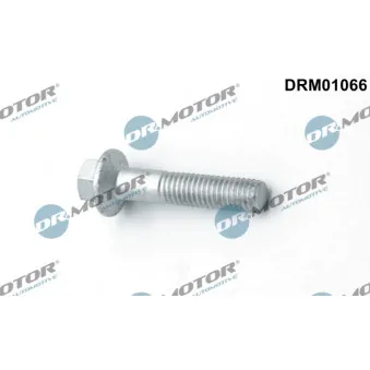 Vis, support pour controleur d'injecteurs Dr.Motor DRM01066S