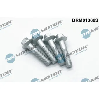 Dr.Motor DRM01066S - Vis, support pour controleur d'injecteurs