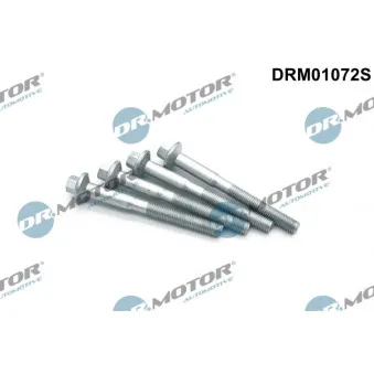 Dr.Motor DRM01072S - Vis, support pour controleur d'injecteurs