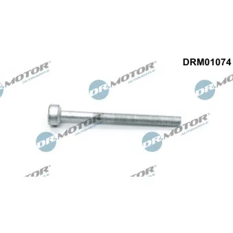 Dr.Motor DRM01074 - Vis, support pour controleur d'injecteurs