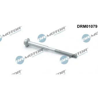 Dr.Motor DRM01079 - Vis, support pour controleur d'injecteurs