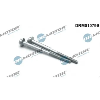 Dr.Motor DRM01079S - Vis, support pour controleur d'injecteurs