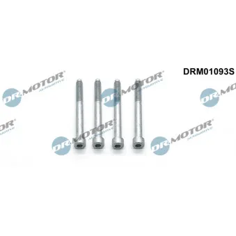 Dr.Motor DRM01093S - Vis, support pour controleur d'injecteurs