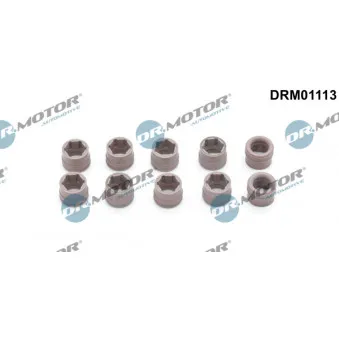 Dr.Motor DRM01113 - Kit de réparation, climatisation