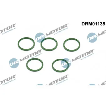 Dr.Motor DRM01135 - Bague d'étanchéité, gaine de suralimentation