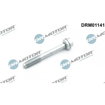 Vis, support pour controleur d'injecteurs Dr.Motor DRM01141
