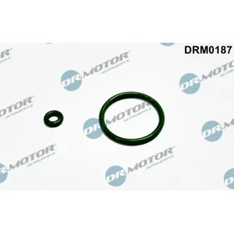 Dr.Motor DRM0187 - Bague d'étanchéité, porte-injecteur