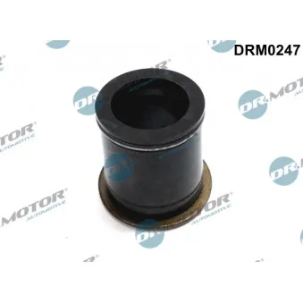 Dr.Motor DRM0247 - Joint d'étanchéité, porte-injecteur