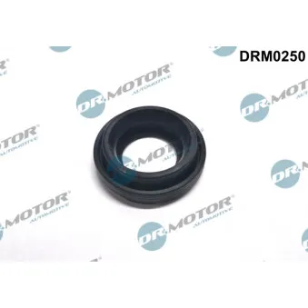 Dr.Motor DRM0250 - Joint d'étanchéité, porte-injecteur