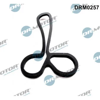 Joint, radiateur d'huile Dr.Motor OEM YC1Q6B624AK