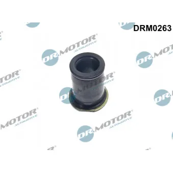 Dr.Motor DRM0263 - Joint d'étanchéité, porte-injecteur