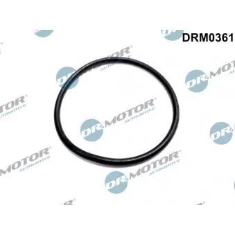 Dr.Motor DRM0361 - Joint, pompe à vide
