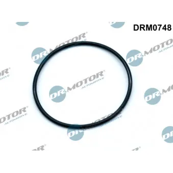 Dr.Motor DRM0748 - Joint, pompe à vide