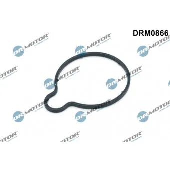 Dr.Motor DRM0866 - Joint, pompe à vide
