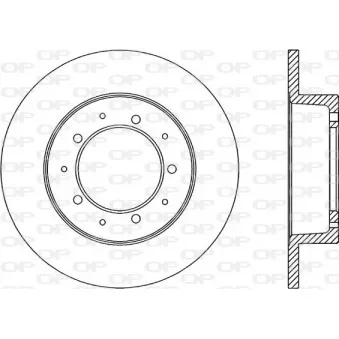 Jeu de 2 disques de frein arrière OPEN PARTS OEM FTC3846