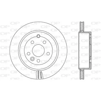 Jeu de 2 disques de frein arrière OPEN PARTS OEM LR001019