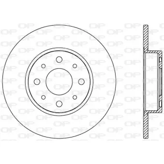 Jeu de 2 disques de frein arrière OPEN PARTS OEM LR115006