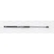 OPEN PARTS GSR6128.00 - Vérin de hayon, de coffre