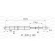 OPEN PARTS GSR6488.00 - Vérin de hayon, de coffre