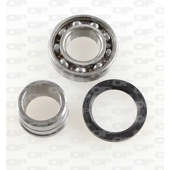Roulement de roue arrière OPEN PARTS OEM 4359165D00000