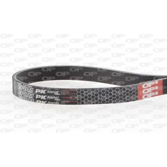 Courroie trapézoïdale à nervures OPEN PARTS OEM 1172069T04