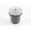 Silent bloc de suspension (train arrière) OPEN PARTS [SSS1227.11]