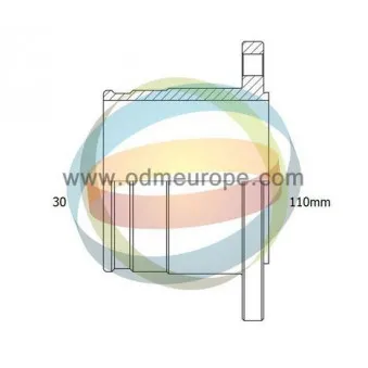 Embout de cardan avant (kit de réparation) ODM-MULTIPARTS 14-226012